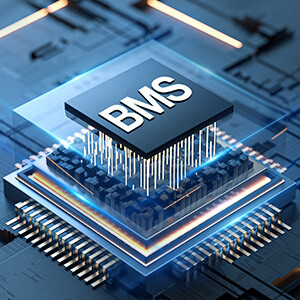 BMS